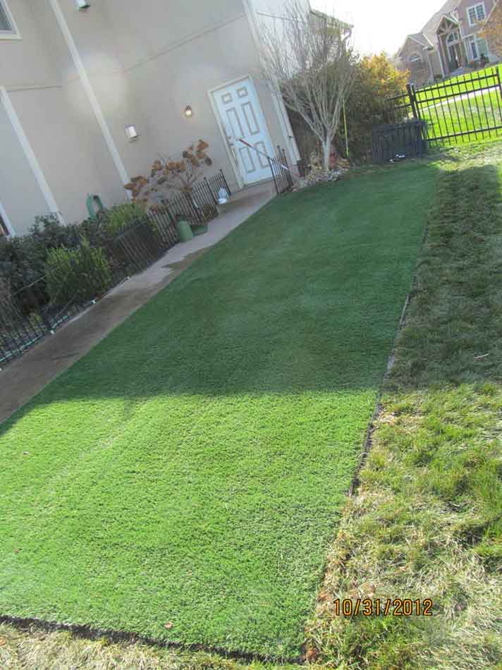 Missouri Artificial Pet Turf Dog Run Gallery SYNLawn Kansas City