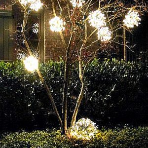 Outdoor tree decorated with circular glow lights for Christmas