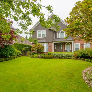 Deep artificial turf lawn in front of Cedar Rapids home flanked by low bushes and other plants