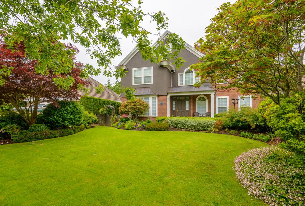 Deep artificial turf lawn in front of Cedar Rapids home flanked by low bushes and other plants