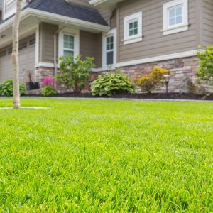 Custom synthetic grass landscape design at Kansas City home