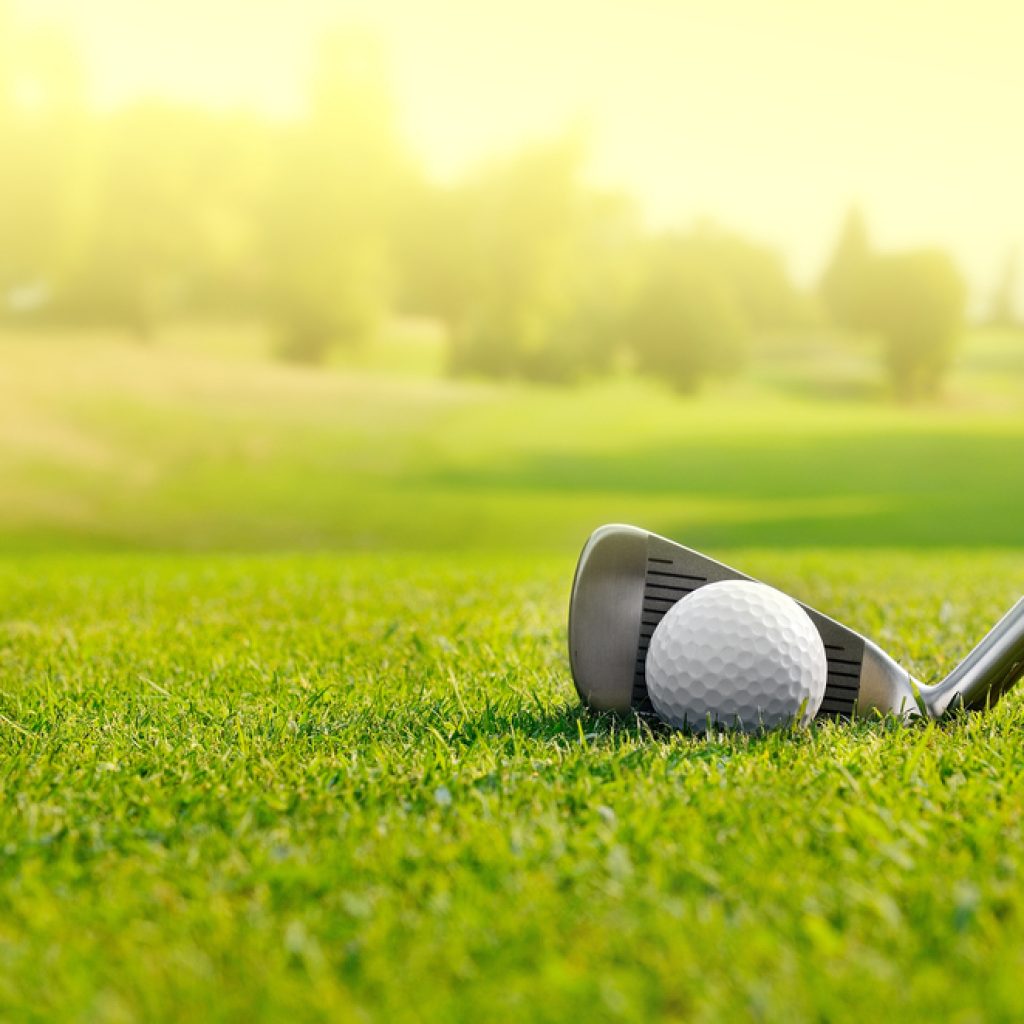 3 Characteristics of the Perfect Golf Green - Turf Etc.
