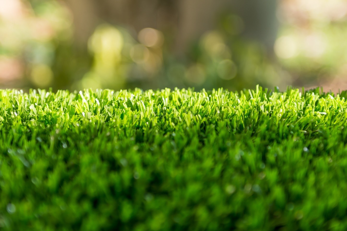 Close up of synthetic grass blades flooded in sunlight.