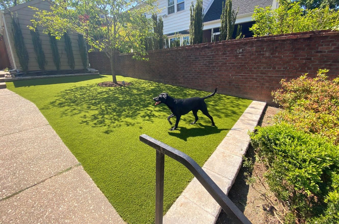  Pet Turf