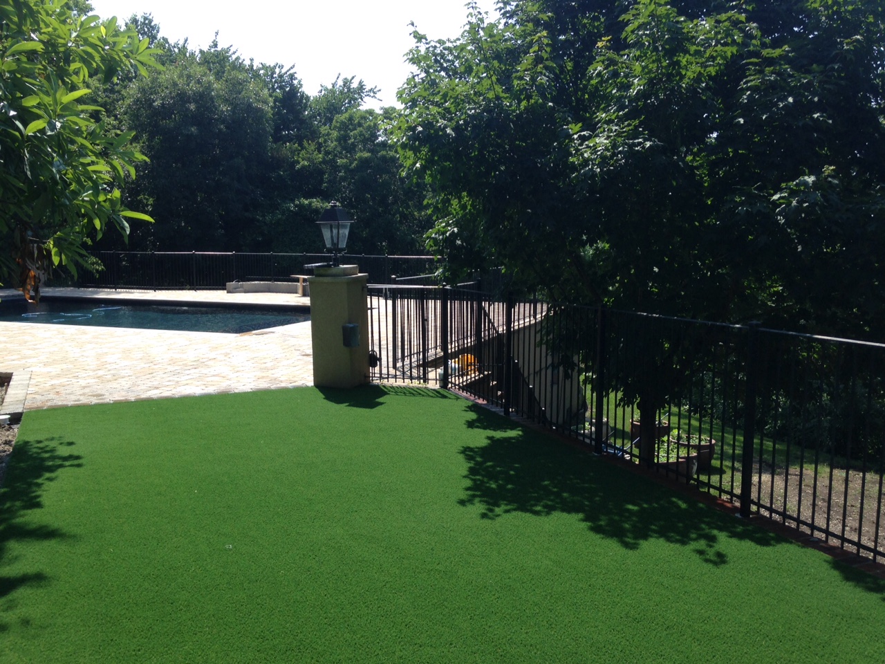 Artificial grass lawn installed by SYNLawn