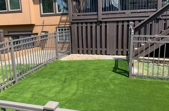 Backyard artificial grass for Pets from SYNLawn