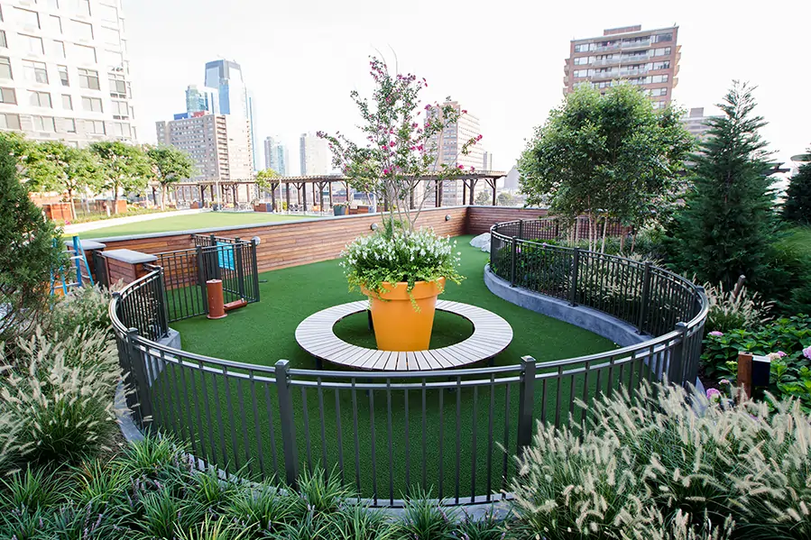 synlawn-artificial-grass-dog-park-1 Artificial grass dog park installed by SYNLawn