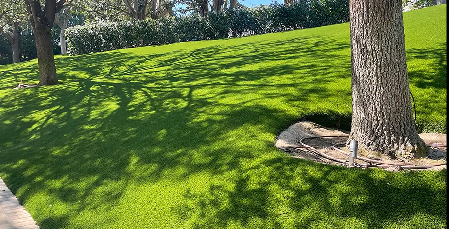 Artificial grass lawn installed by SYNLawn