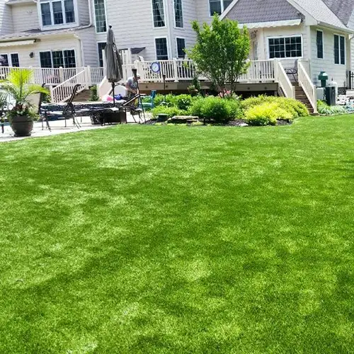 clean-turf-lawn-kc-img-2 Artificial grass lawn cleaning service from SYNLawn Kansas City