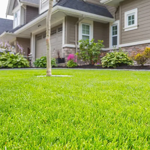 clean-turf-lawn-kc-img-3 Artificial grass lawn cleaning service from SYNLawn Kansas City