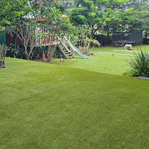 clean-turf-lawn-kc-img-4 Artificial grass lawn cleaning service from SYNLawn Kansas City